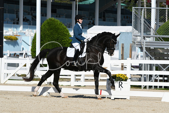 HSM_6243