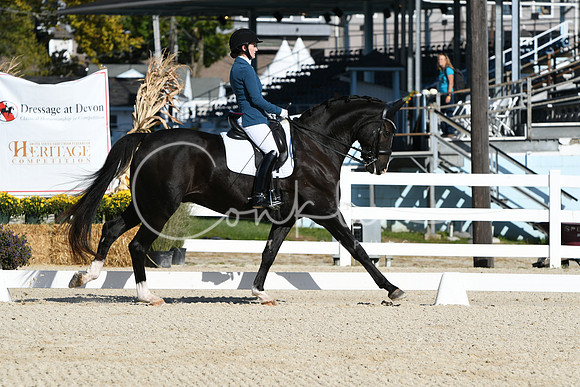 HSM_6246