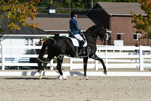 HSM_6247