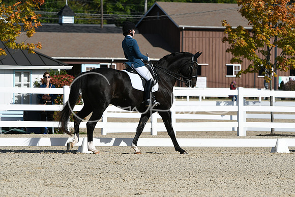 HSM_6248