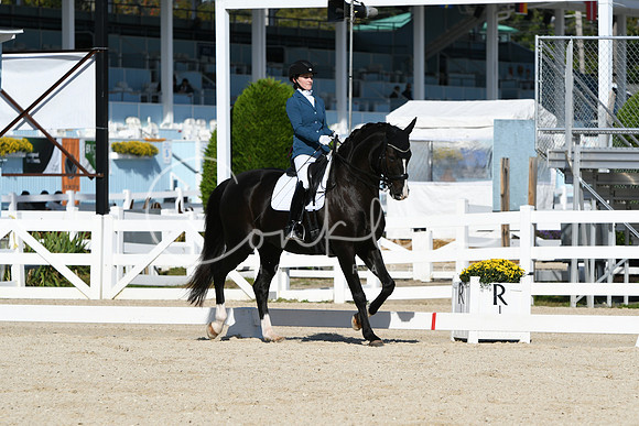 HSM_6278