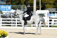 HSM_6011