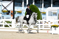 HSM_6026