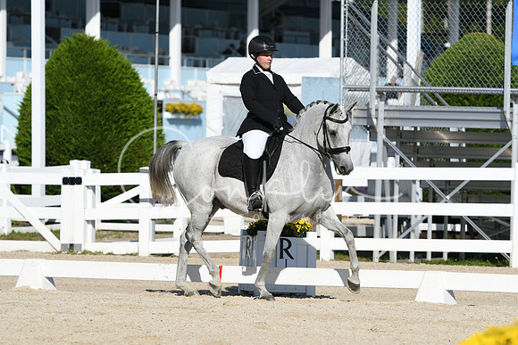 HSM_6028