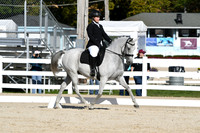 HSM_6031