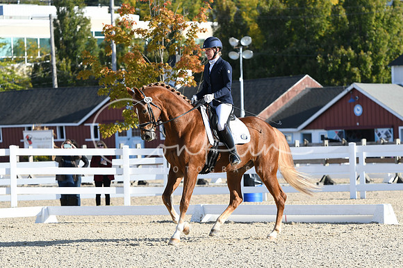 HSM_5599