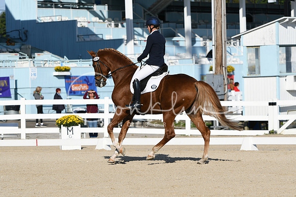 HSM_5639