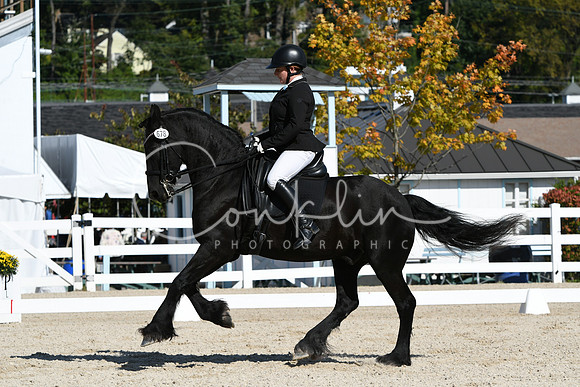HSM_6741
