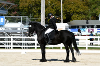 HSM_6745