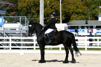 HSM_6747