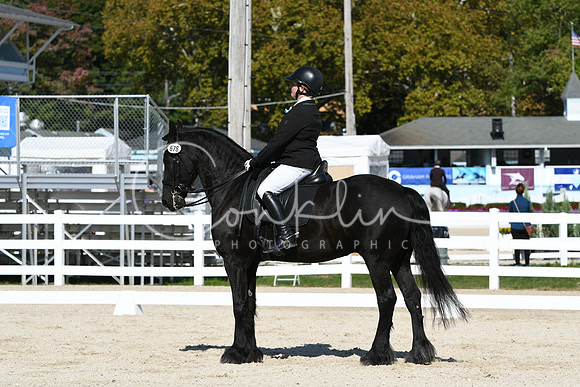 HSM_6747