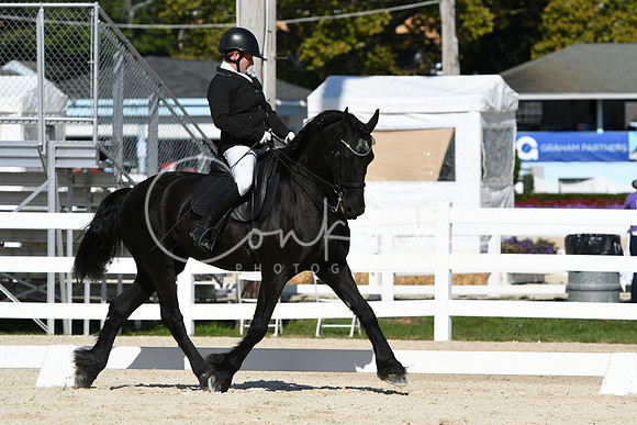 HSM_6767