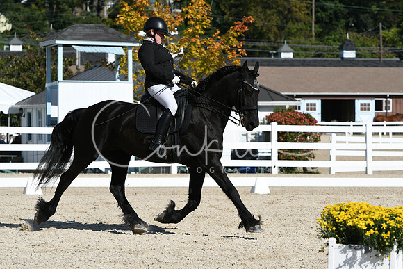 HSM_6775