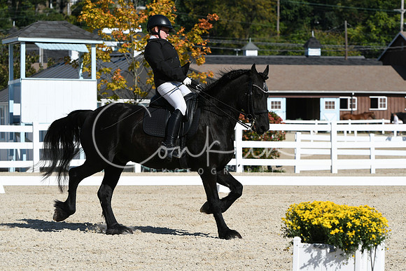 HSM_6776
