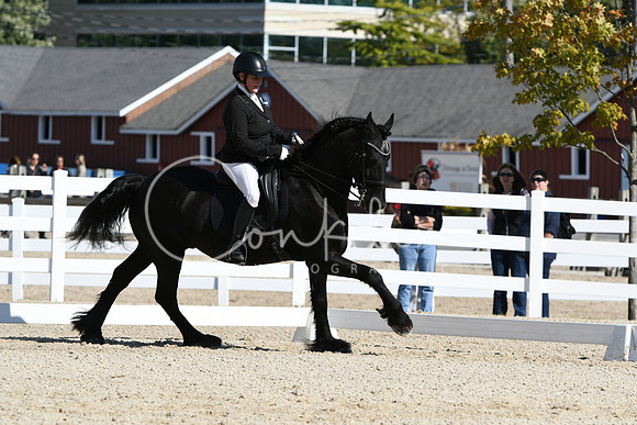 HSM_6794