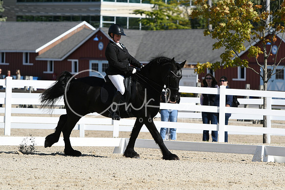 HSM_6795
