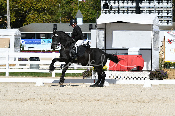 HSM_6797