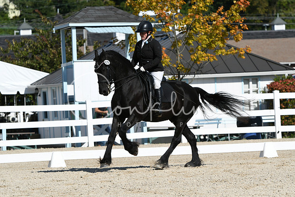 HSM_6808