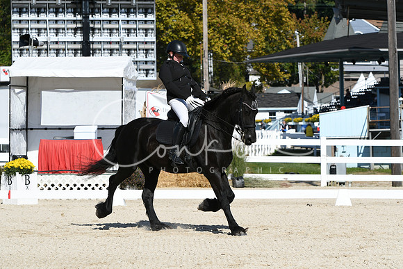 HSM_6828