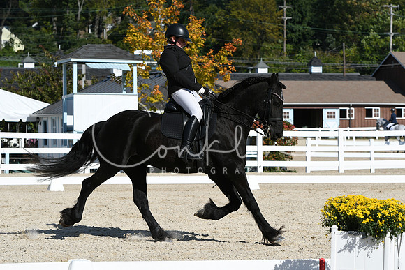 HSM_6831