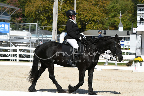 HSM_6842