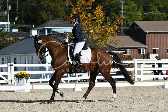 HSM_6309