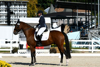HSM_6311