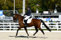 HSM_6312