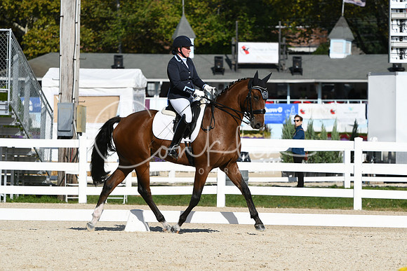 HSM_6331