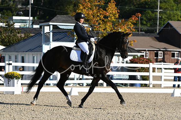 HSM_5538