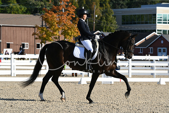 HSM_5541