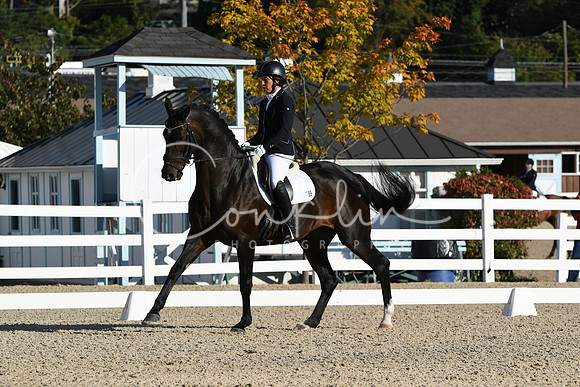 HSM_5572