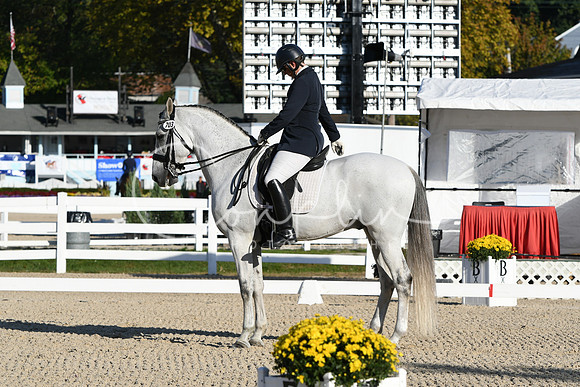 HSM_5428