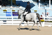 HSM_5433