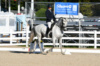 HSM_5441