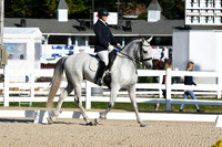 HSM_5446