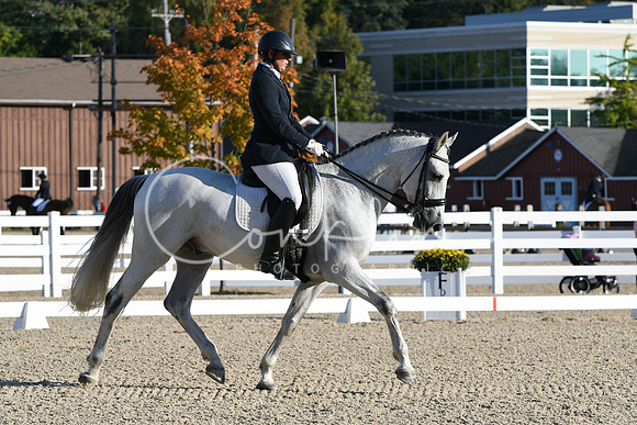 HSM_5451