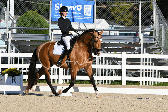 HSM_5268