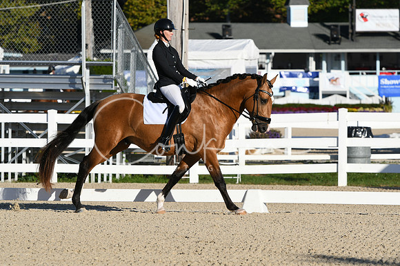 HSM_5287