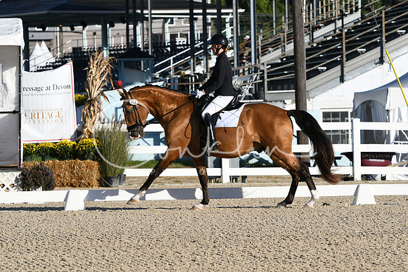 HSM_5295