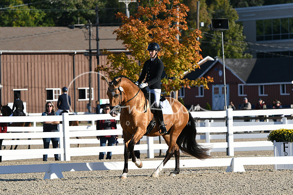HSM_5303