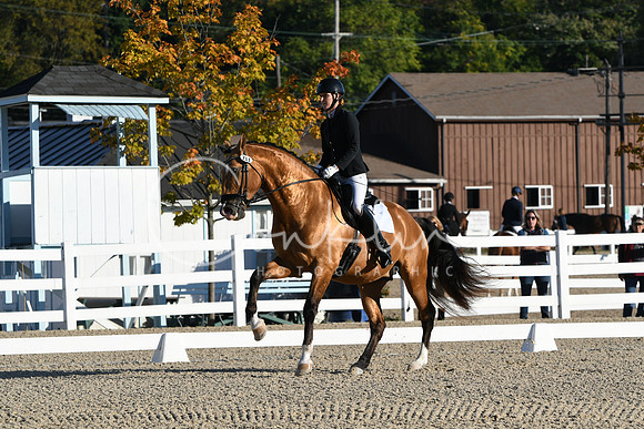 HSM_5306