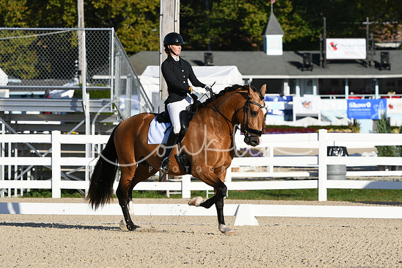 HSM_5318