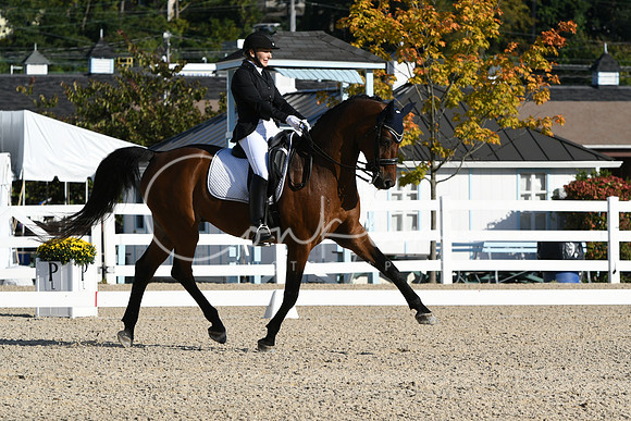 HSM_5719