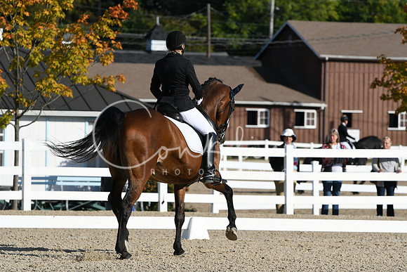 HSM_5728