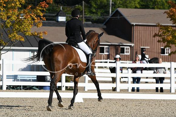 HSM_5729