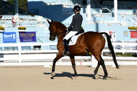HSM_5344