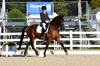 HSM_5355