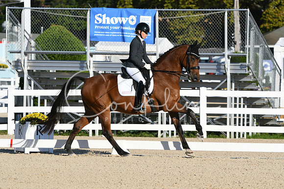 HSM_5371