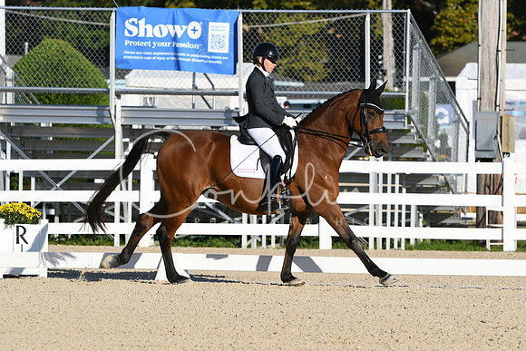 HSM_5372